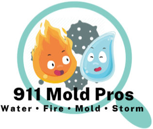 911 Mold Pros logo